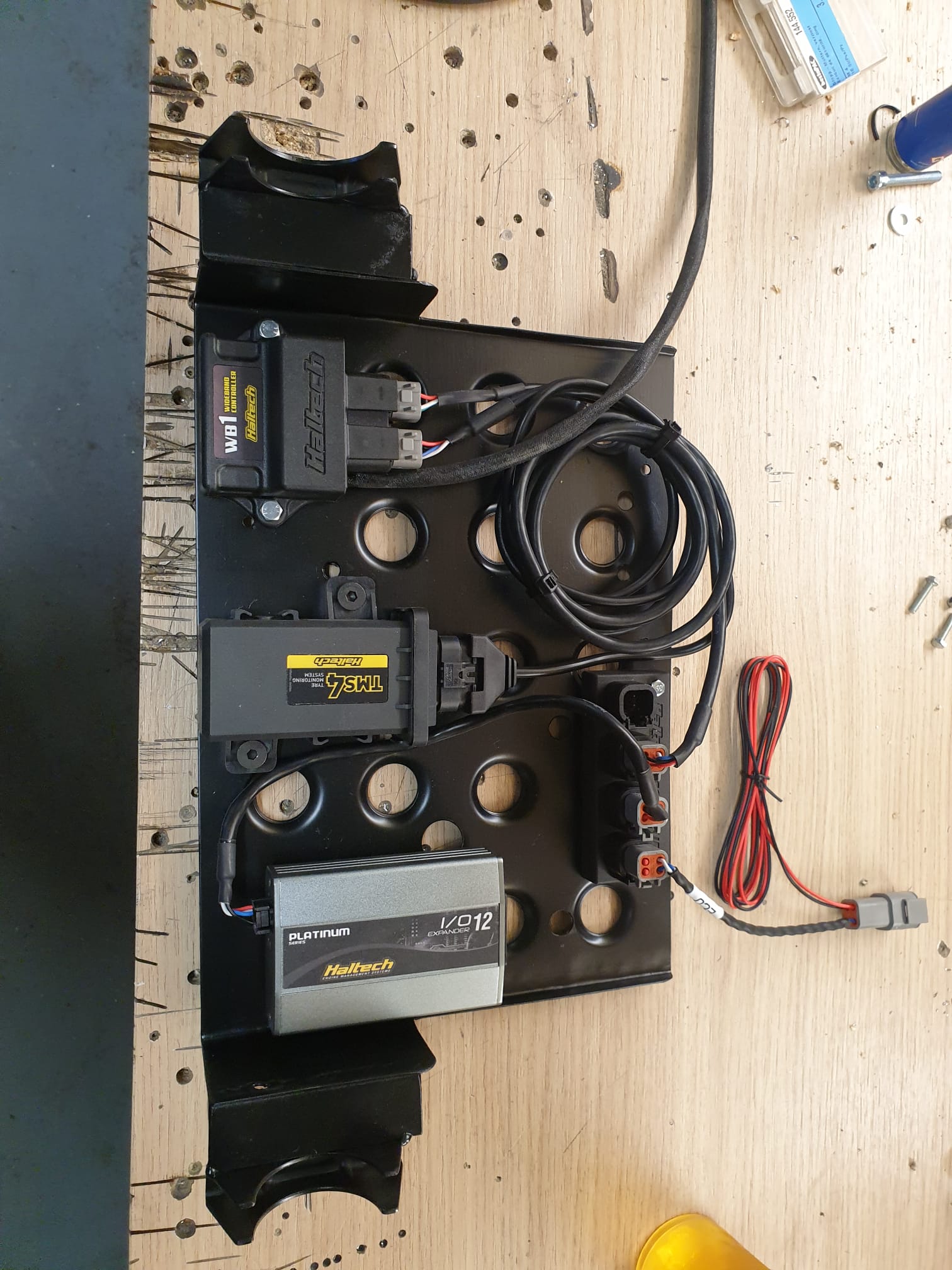 Haltech - Tyre pressure - IO Extender